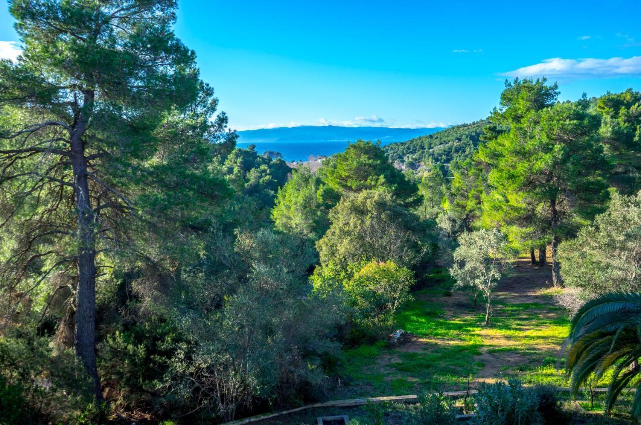 Forest Resort Suites Skiathos Troulos Exterior foto
